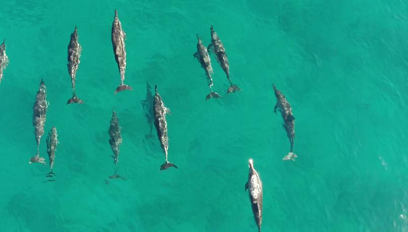 Mauritius - Thiên đường trên trái đất