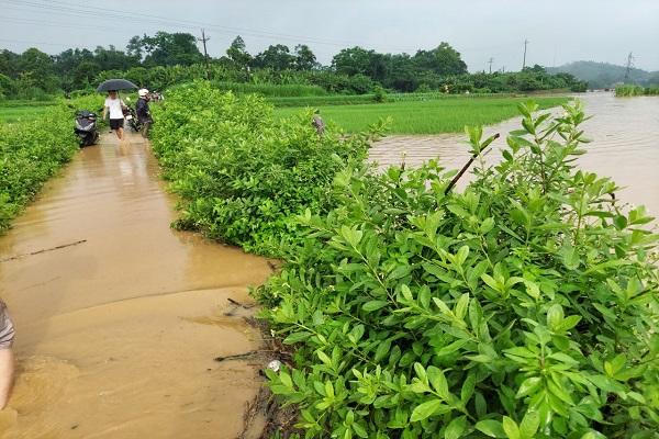Mưa lớn gây thiệt hại khoảng 2 tỷ đồng