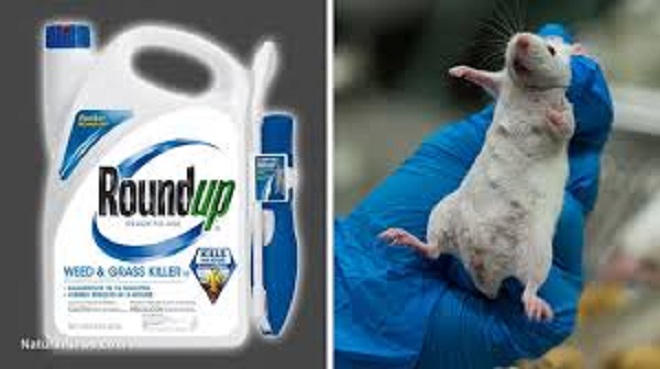 Roundup – nối dài những sản phẩm gây tranh cãi 