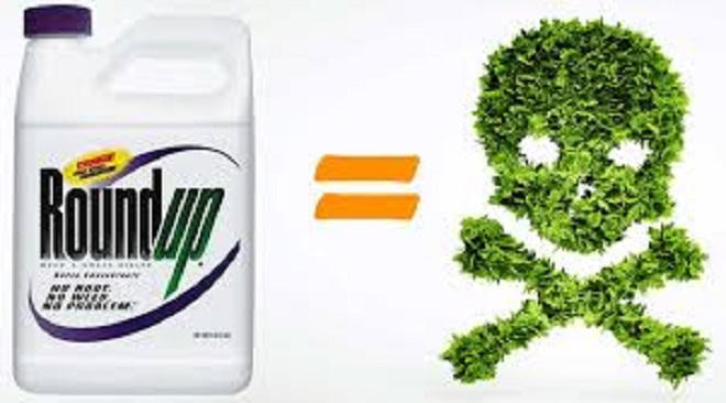 Roundup – nối dài những sản phẩm gây tranh cãi 