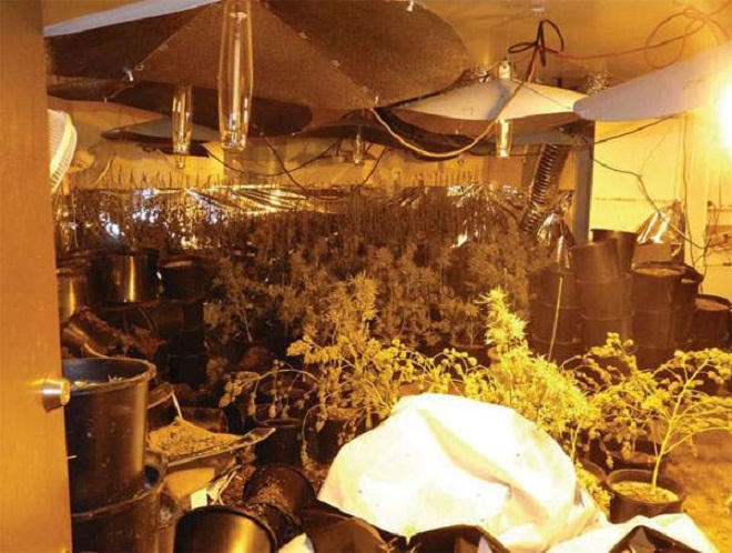 Những người đẹp Việt vướng lao lý (bài 1): Đường sa ngã của Hoa hậu Trâm Bùi