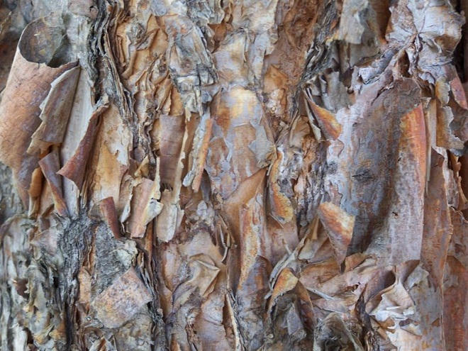 Huyền bí những tập tục dành cho... người chết