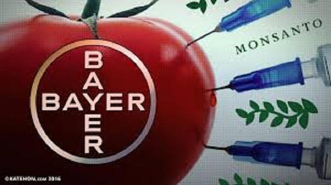 Tội đồ của môi trường toàn cầu (Kỳ cuối): Giành lại thế giới từ tay Monsanto