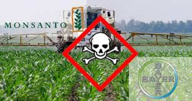 Tội đồ của môi trường toàn cầu (Kỳ cuối): Giành lại thế giới từ tay Monsanto