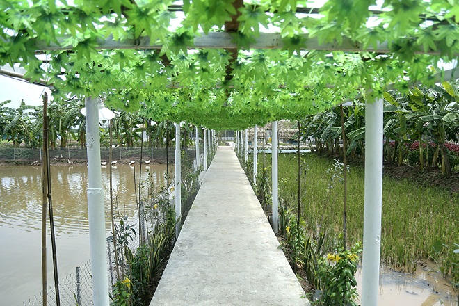 Nhà hàng Hương Quê tại FLC Vĩnh Phúc đón hàng trăm lượt khách ngày khai trương