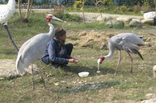 Phật Quốc ký sự (Kỳ 3) 