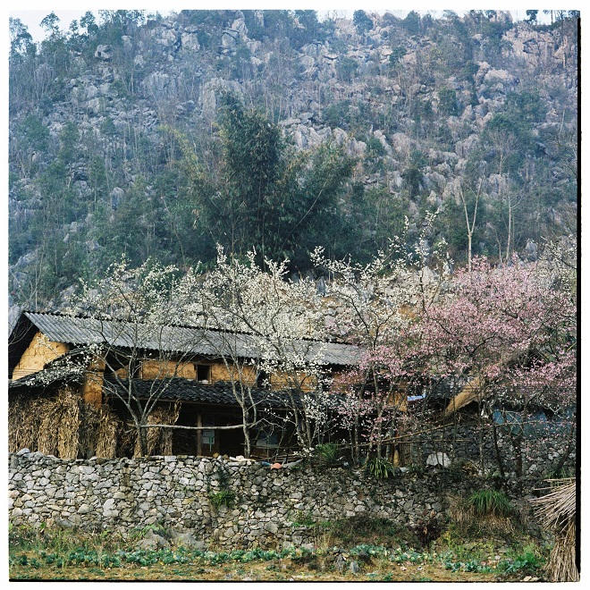 Bộ ảnh phim tuyệt đẹp về cao nguyên Hà Giang mùa xuân