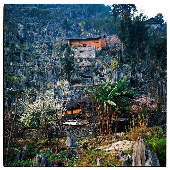 Bộ ảnh phim tuyệt đẹp về cao nguyên Hà Giang mùa xuân