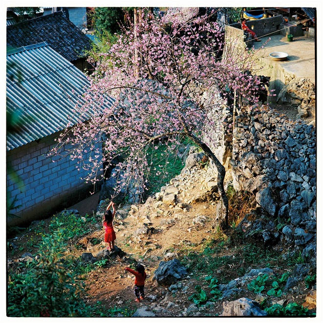 Bộ ảnh phim tuyệt đẹp về cao nguyên Hà Giang mùa xuân