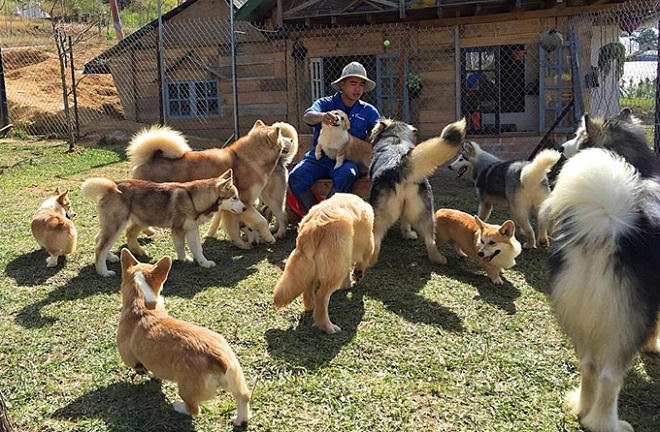 Nhiều điểm vui chơi “chất phát ngất” ở Đà Lạt