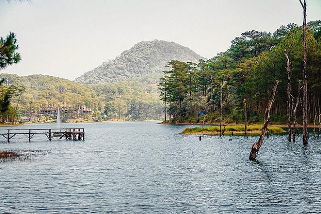 5 điểm chụp hình đẹp ở Đà Lạt lên phim 'Tháng năm rực rỡ'