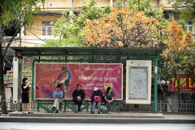 Chẳng phải đi đâu xa, Hà Nội đang đẹp nao lòng mùa cây thay lá