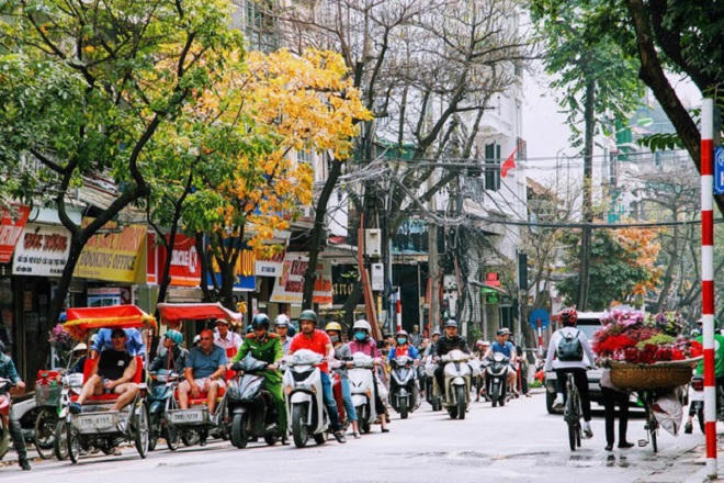 Chẳng phải đi đâu xa, Hà Nội đang đẹp nao lòng mùa cây thay lá