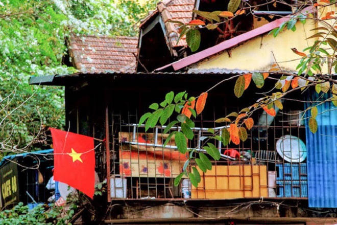 Chẳng phải đi đâu xa, Hà Nội đang đẹp nao lòng mùa cây thay lá