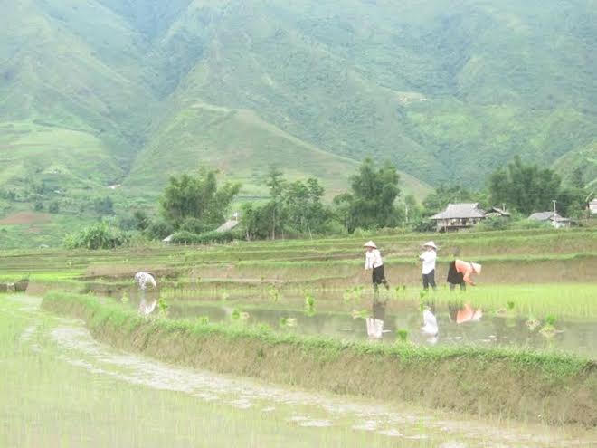 Khám phá Lai Châu qua 7 địa danh đẹp, độc, lạ đến nao lòng