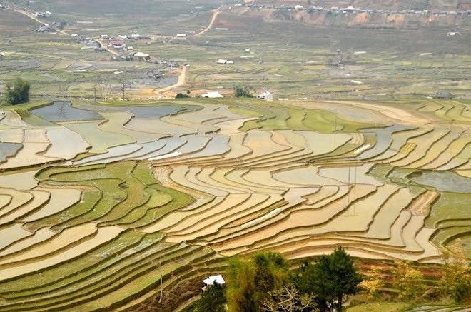 Lạc lối trước những điểm du lịch đẹp như tranh ở Yên Bái