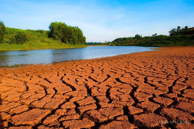 Không gian thanh bình khiến du khách phải dừng chân của Bảo Lộc