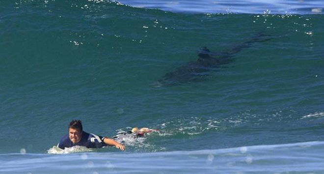 Những hòn đảo đáng sợ nhất trên thế giới