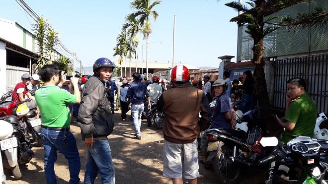 Gia Lai: Nông dân ký gửi nông sản điêu đứng trước chiêu trò vỡ nợ của doanh nghiệp