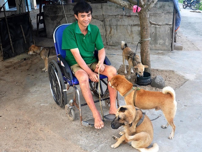 Những chú chó nghĩa tình làm 'đôi chân' cho 'cậu chủ' tật nguyền