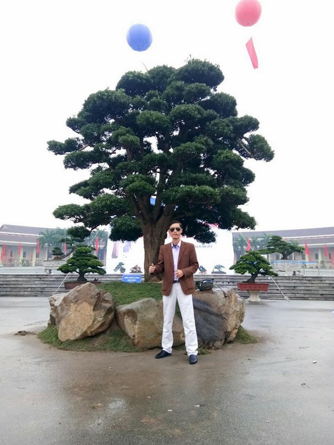 Vườn Tùng La Hán 'có một không hai' ở Việt Nam