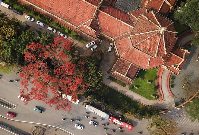 Nao lòng với vẻ thanh bình của Hà Nội trong mùa hoa gạo tháng 3