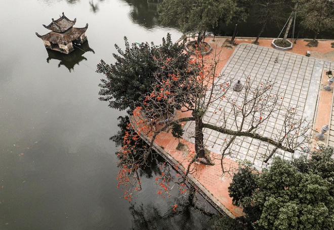 Nao lòng với vẻ thanh bình của Hà Nội trong mùa hoa gạo tháng 3