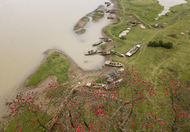Nao lòng với vẻ thanh bình của Hà Nội trong mùa hoa gạo tháng 3