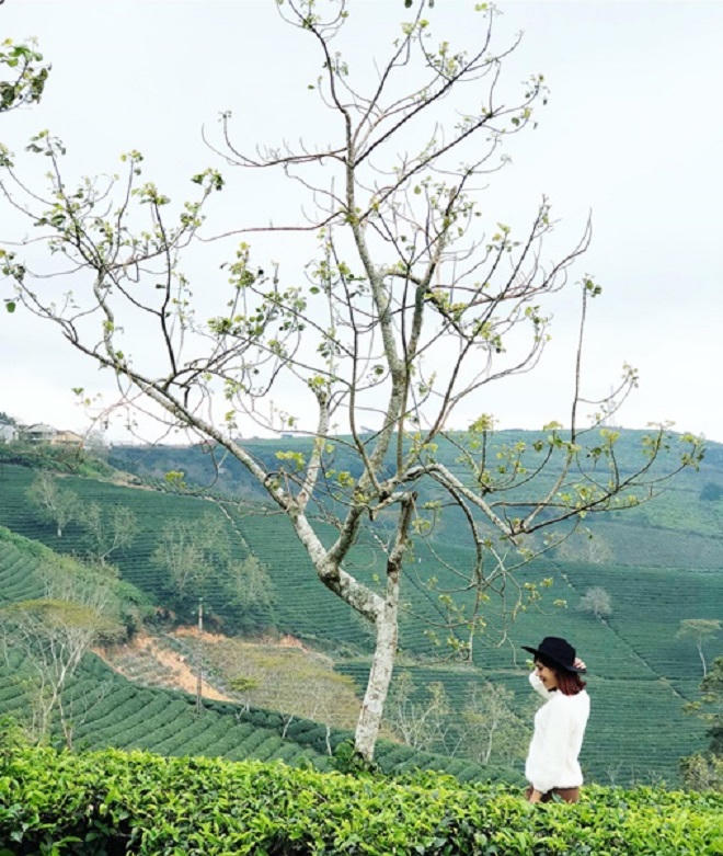 4 địa điểm để tránh đám đông ở Đà Lạt dịp lễ 30/4