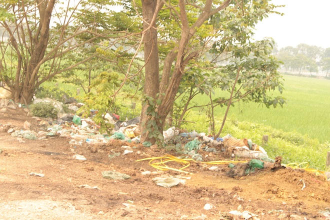 Gai người trên con đường nồng nặc mùi xương trâu bò thối ở Hà Nội