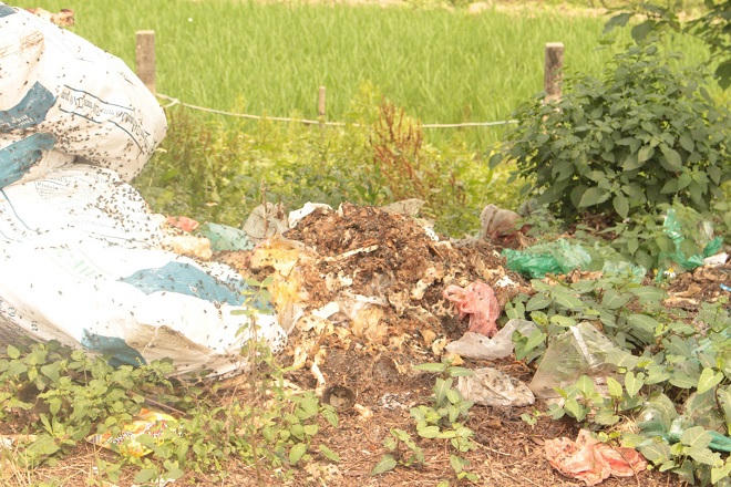 Gai người trên con đường nồng nặc mùi xương trâu bò thối ở Hà Nội