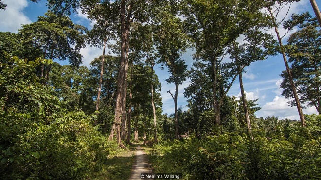 Bí mật kì lạ về hòn đảo nằm giữa Ấn Độ Dương