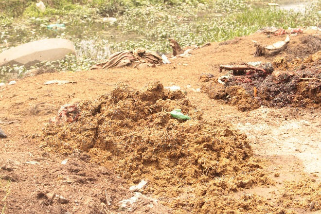 Gai người trên con đường nồng nặc mùi xương trâu bò thối ở Hà Nội