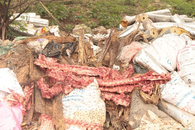 Gai người trên con đường nồng nặc mùi xương trâu bò thối ở Hà Nội