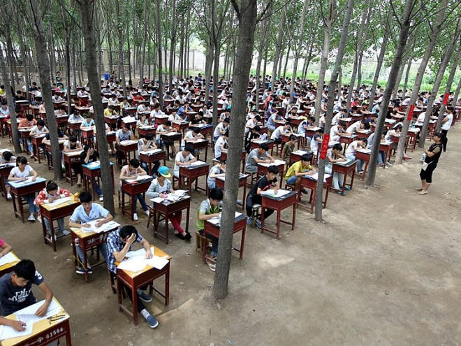 Người Mỹ và Trung Quốc dạy con khác nhau thế nào?