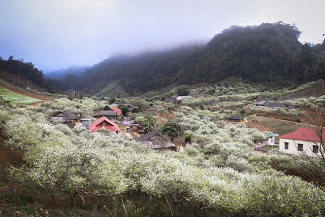 Những điểm không thể bỏ qua khi đến Sơn La