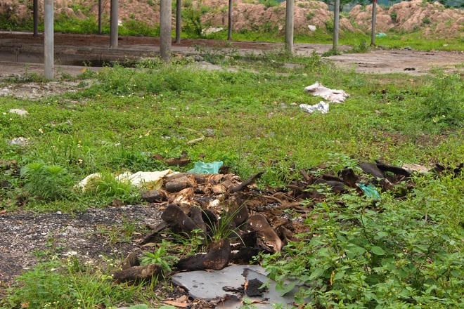 Con đường bốc mùi vẫn rải rác xương thối, trách nhiệm thuộc về ai?