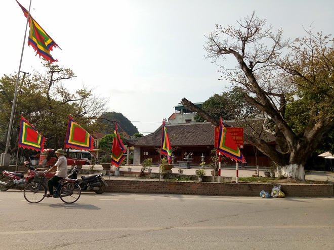 Tháng 5 này đừng bỏ lỡ điểm hẹn “Sắc vàng Tam Cốc – Tràng An”