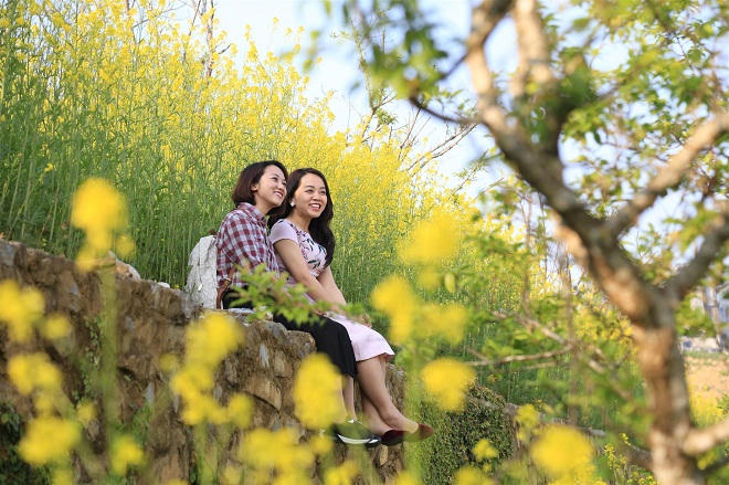 Tin được không, vé cáp treo Fansipan giảm còn 200.000 đồng?