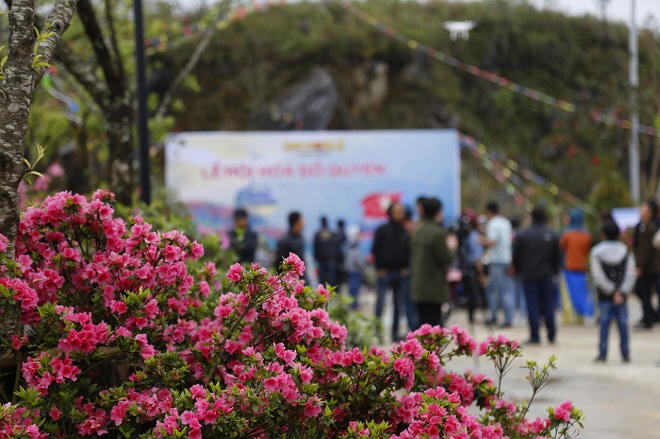 Tin được không, vé cáp treo Fansipan giảm còn 200.000 đồng?