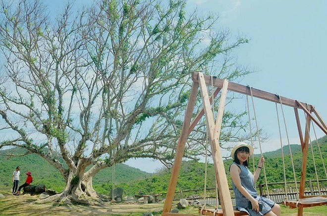 Giới trẻ đứng ngồi không yên với trang trại "sống ảo" nhất Phú Yên