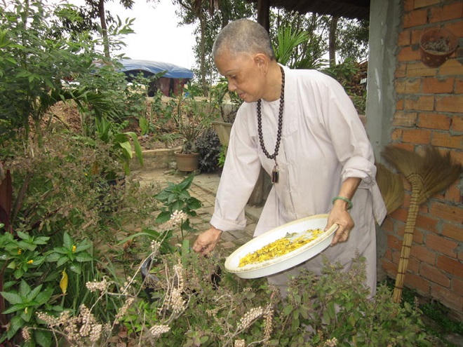 Tiếp vụ nhà chùa căng băng rôn đòi mảnh đất bị “lừa mua”: Tâm nguyện xây bệnh viện người nghèo nguy cơ dang dở