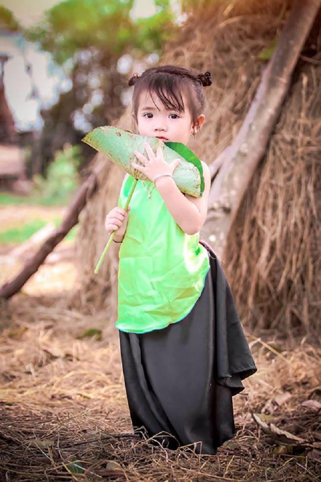 Cánh đồng sen 5 ha nở rộ giữa nắng hạn Ninh Thuận