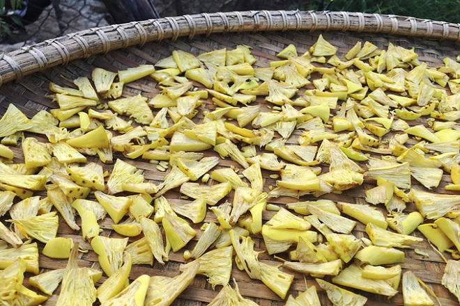 Cánh đồng sen 5 ha nở rộ giữa nắng hạn Ninh Thuận