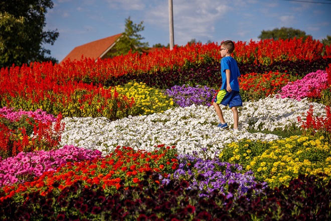 Thăm vườn nghệ thuật ‘Quilt’ độc đáo nhất ở Mỹ