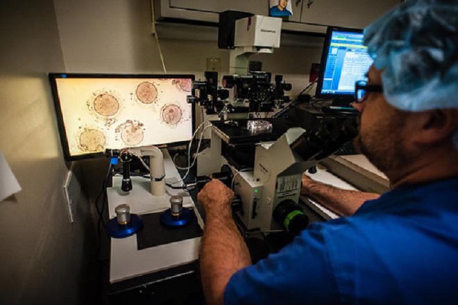 Dự báo làn sóng trẻ em sinh từ... trứng đông lạnh