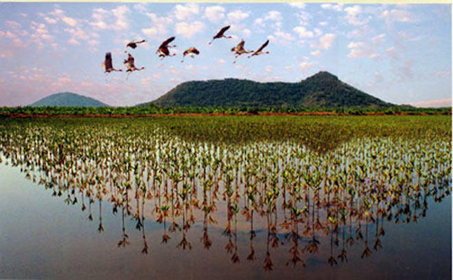 Kiên Giang, thiên đường của những hòn đảo đẹp như tranh vẽ