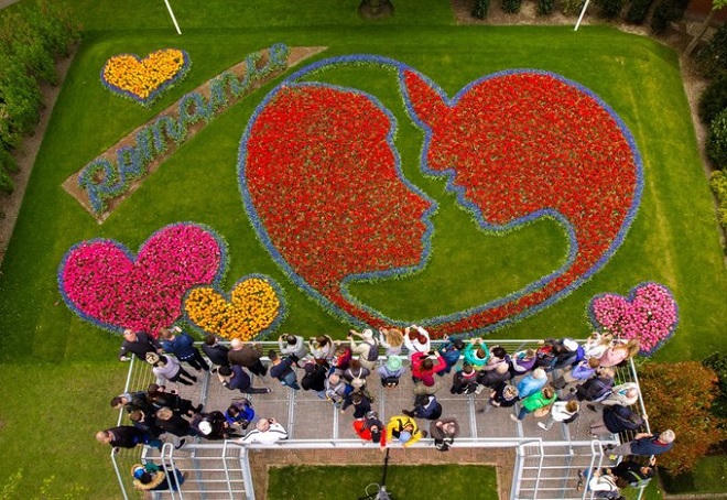 Vườn hoa tulip đẹp như tranh vẽ ở Hà Lan