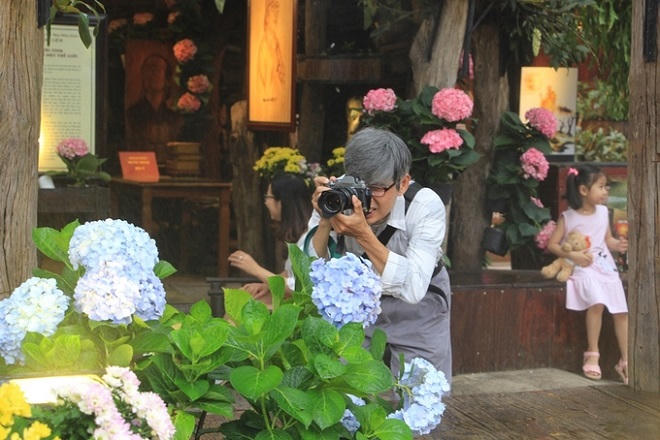 Vườn hoa cẩm tú cầu hút khách ở Huế