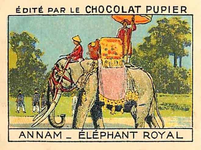 'Bí quyết' thuần hóa voi của người miền Trung 400 năm trước